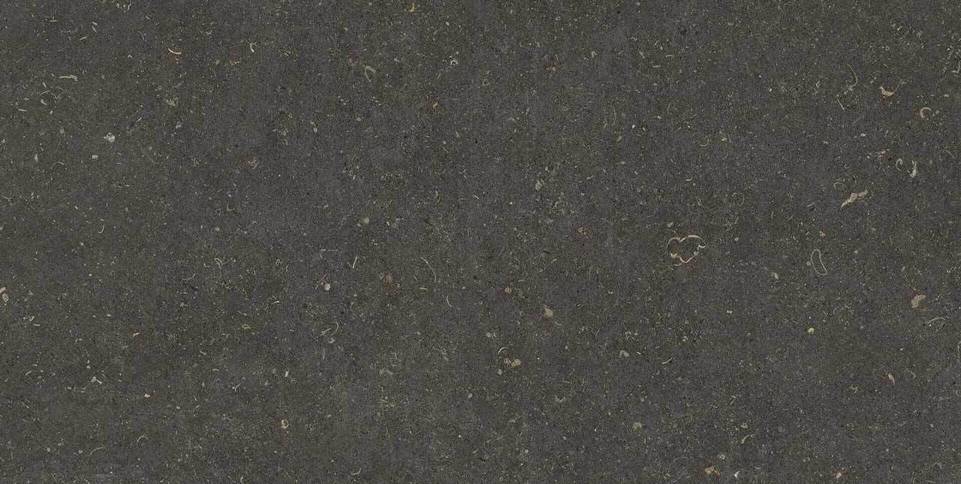 Anthracite 60x120